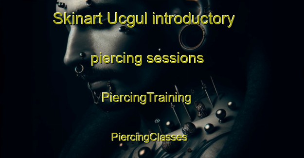 Skinart Ucgul introductory piercing sessions | PiercingTraining | PiercingClasses | SkinartTraining-Turkey