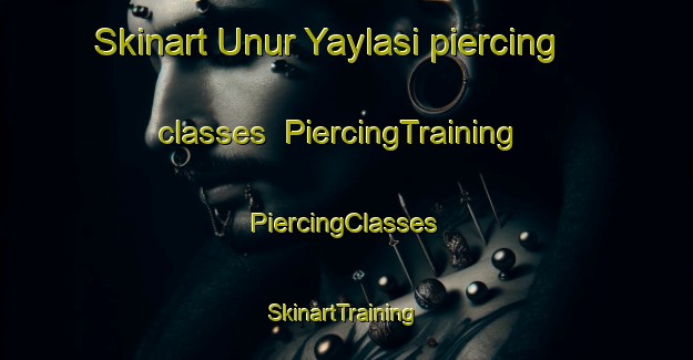 Skinart Unur Yaylasi piercing classes | #PiercingTraining #PiercingClasses #SkinartTraining-Turkey