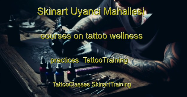 Skinart Uyanci Mahallesi courses on tattoo wellness practices | #TattooTraining #TattooClasses #SkinartTraining-Turkey