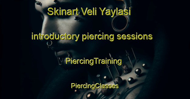 Skinart Veli Yaylasi introductory piercing sessions | #PiercingTraining #PiercingClasses #SkinartTraining-Turkey