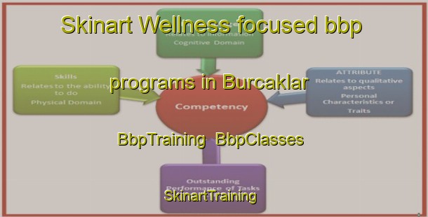 Skinart Wellness-focused bbp programs in Burcaklar | BbpTraining | BbpClasses | SkinartTraining-Turkey