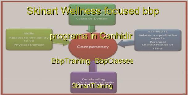 Skinart Wellness-focused bbp programs in Canhidir | BbpTraining | BbpClasses | SkinartTraining-Turkey