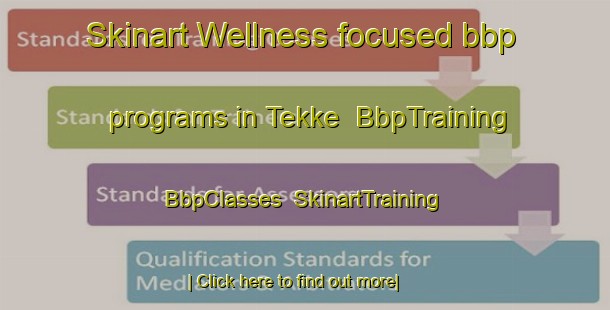 Skinart Wellness-focused bbp programs in Tekke | BbpTraining | BbpClasses | SkinartTraining-Turkey