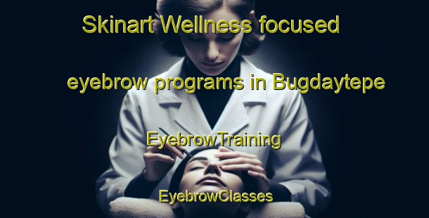 Skinart Wellness-focused eyebrow programs in Bugdaytepe | EyebrowTraining | EyebrowClasses | SkinartTraining-Turkey