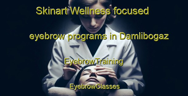 Skinart Wellness-focused eyebrow programs in Damlibogaz | EyebrowTraining | EyebrowClasses | SkinartTraining-Turkey