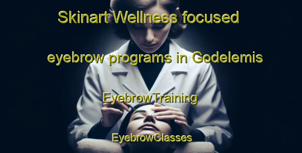 Skinart Wellness-focused eyebrow programs in Godelemis | EyebrowTraining | EyebrowClasses | SkinartTraining-Turkey