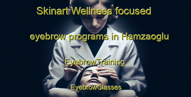 Skinart Wellness-focused eyebrow programs in Hamzaoglu | EyebrowTraining | EyebrowClasses | SkinartTraining-Turkey