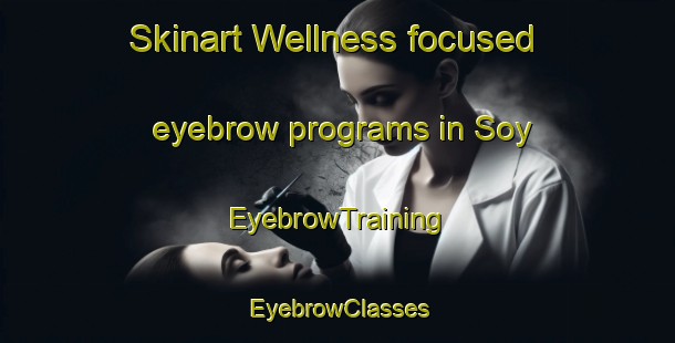 Skinart Wellness-focused eyebrow programs in Soy | EyebrowTraining | EyebrowClasses | SkinartTraining-Turkey