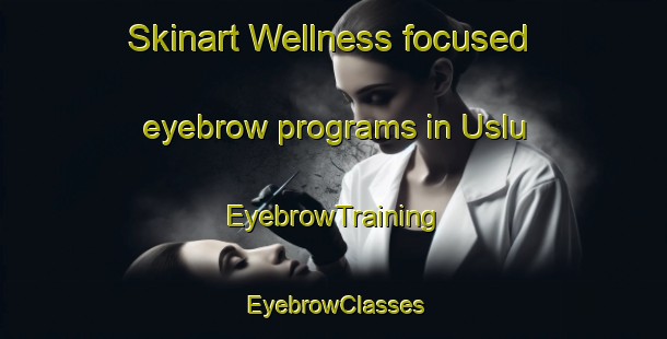Skinart Wellness-focused eyebrow programs in Uslu | EyebrowTraining | EyebrowClasses | SkinartTraining-Turkey