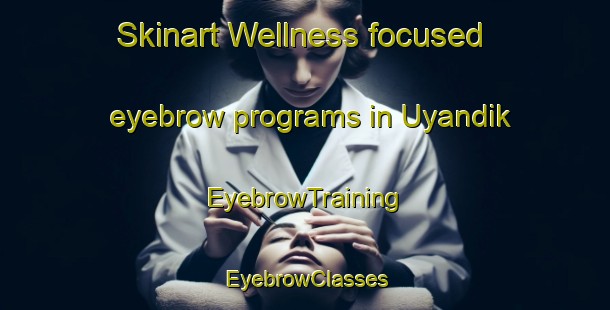 Skinart Wellness-focused eyebrow programs in Uyandik | EyebrowTraining | EyebrowClasses | SkinartTraining-Turkey