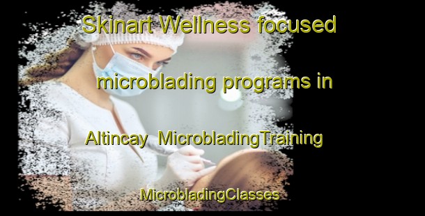 Skinart Wellness-focused microblading programs in Altincay | MicrobladingTraining | MicrobladingClasses | SkinartTraining-Turkey