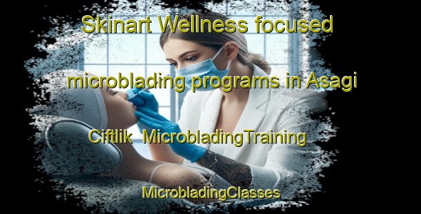 Skinart Wellness-focused microblading programs in Asagi Ciftlik | #MicrobladingTraining #MicrobladingClasses #SkinartTraining-Turkey