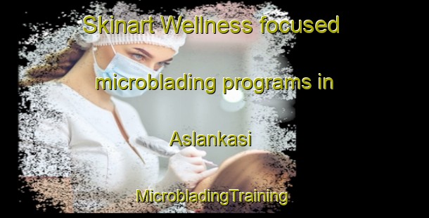 Skinart Wellness-focused microblading programs in Aslankasi | #MicrobladingTraining #MicrobladingClasses #SkinartTraining-Turkey