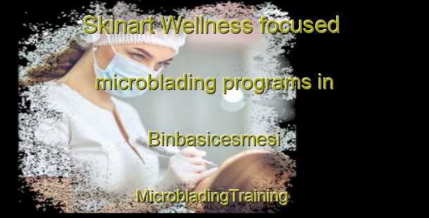 Skinart Wellness-focused microblading programs in Binbasicesmesi | #MicrobladingTraining #MicrobladingClasses #SkinartTraining-Turkey