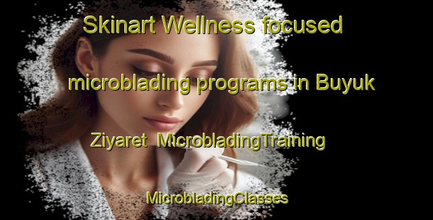 Skinart Wellness-focused microblading programs in Buyuk Ziyaret | #MicrobladingTraining #MicrobladingClasses #SkinartTraining-Turkey