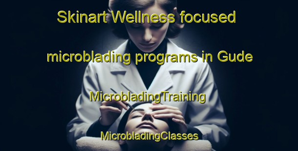 Skinart Wellness-focused microblading programs in Gude | #MicrobladingTraining #MicrobladingClasses #SkinartTraining-Turkey