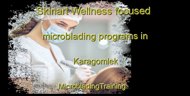 Skinart Wellness-focused microblading programs in Karagomlek | MicrobladingTraining | MicrobladingClasses | SkinartTraining-Turkey