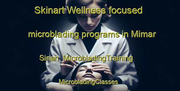 Skinart Wellness-focused microblading programs in Mimar Sinan | MicrobladingTraining | MicrobladingClasses | SkinartTraining-Turkey
