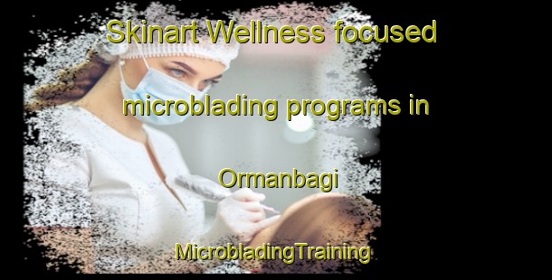 Skinart Wellness-focused microblading programs in Ormanbagi | #MicrobladingTraining #MicrobladingClasses #SkinartTraining-Turkey