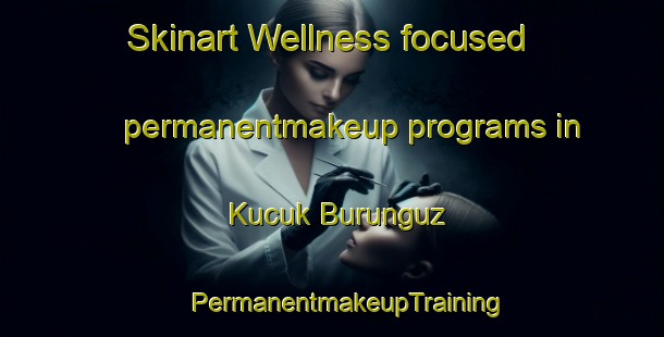 Skinart Wellness-focused permanentmakeup programs in Kucuk Burunguz | #PermanentmakeupTraining #PermanentmakeupClasses #SkinartTraining-Turkey