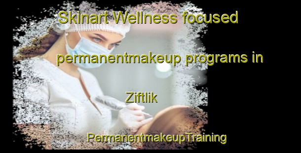 Skinart Wellness-focused permanentmakeup programs in Ziftlik | #PermanentmakeupTraining #PermanentmakeupClasses #SkinartTraining-Turkey