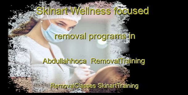 Skinart Wellness-focused removal programs in Abdullahhoca | #RemovalTraining #RemovalClasses #SkinartTraining-Turkey