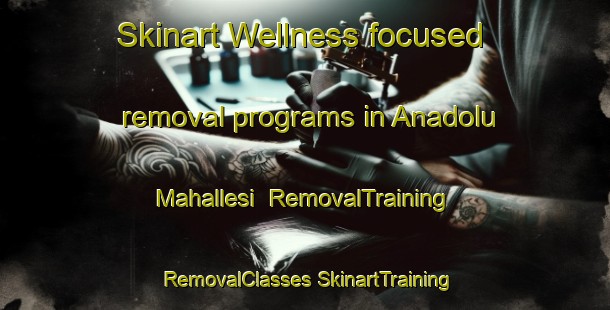 Skinart Wellness-focused removal programs in Anadolu Mahallesi | #RemovalTraining #RemovalClasses #SkinartTraining-Turkey