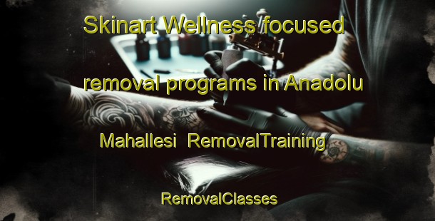 Skinart Wellness-focused removal programs in Anadolu Mahallesi | RemovalTraining | RemovalClasses | SkinartTraining-Turkey