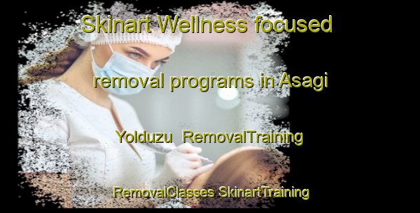 Skinart Wellness-focused removal programs in Asagi Yolduzu | #RemovalTraining #RemovalClasses #SkinartTraining-Turkey