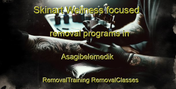 Skinart Wellness-focused removal programs in Asagibelemedik | #RemovalTraining #RemovalClasses #SkinartTraining-Turkey