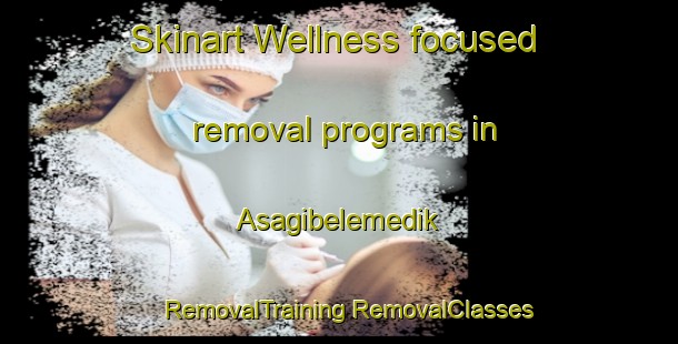 Skinart Wellness-focused removal programs in Asagibelemedik | #RemovalTraining #RemovalClasses #SkinartTraining-Turkey