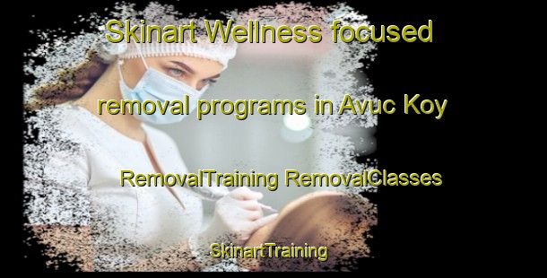 Skinart Wellness-focused removal programs in Avuc Koy | #RemovalTraining #RemovalClasses #SkinartTraining-Turkey