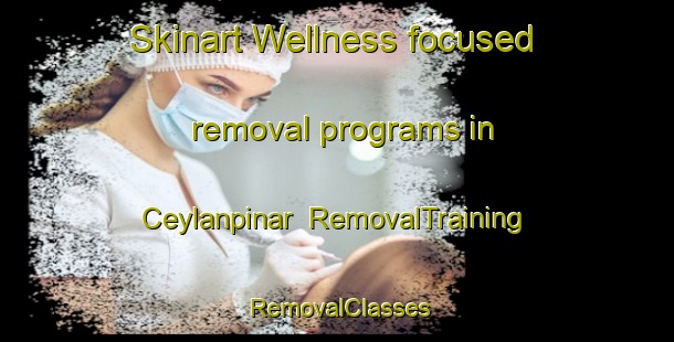 Skinart Wellness-focused removal programs in Ceylanpinar | RemovalTraining | RemovalClasses | SkinartTraining-Turkey