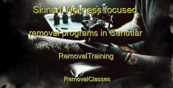 Skinart Wellness-focused removal programs in Cunutlar | RemovalTraining | RemovalClasses | SkinartTraining-Turkey