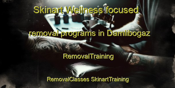 Skinart Wellness-focused removal programs in Damlibogaz | #RemovalTraining #RemovalClasses #SkinartTraining-Turkey