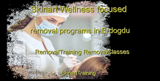 Skinart Wellness-focused removal programs in Erdogdu | #RemovalTraining #RemovalClasses #SkinartTraining-Turkey