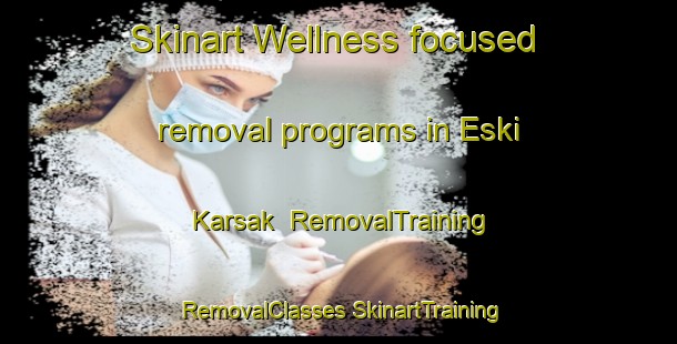 Skinart Wellness-focused removal programs in Eski Karsak | #RemovalTraining #RemovalClasses #SkinartTraining-Turkey