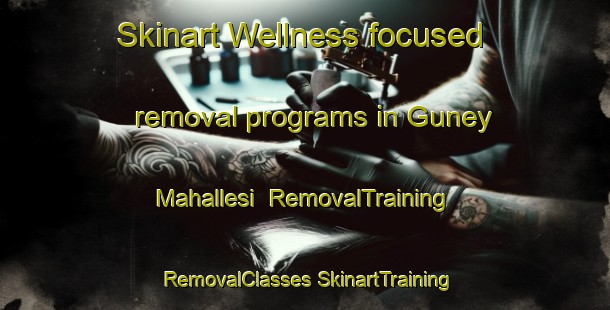 Skinart Wellness-focused removal programs in Guney Mahallesi | #RemovalTraining #RemovalClasses #SkinartTraining-Turkey