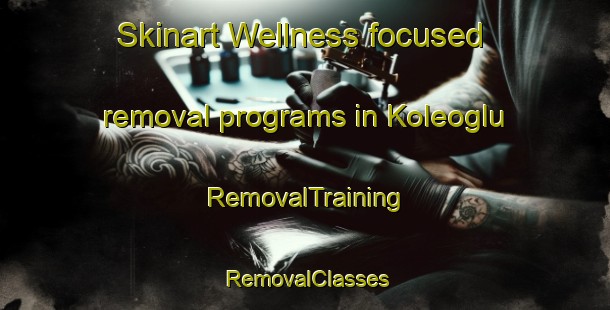 Skinart Wellness-focused removal programs in Koleoglu | RemovalTraining | RemovalClasses | SkinartTraining-Turkey