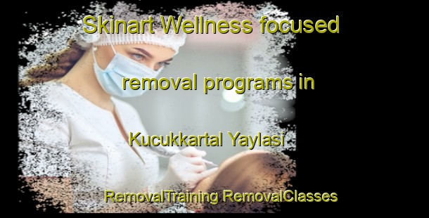 Skinart Wellness-focused removal programs in Kucukkartal Yaylasi | #RemovalTraining #RemovalClasses #SkinartTraining-Turkey