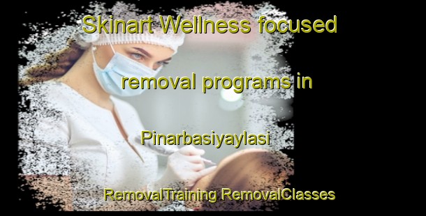 Skinart Wellness-focused removal programs in Pinarbasiyaylasi | #RemovalTraining #RemovalClasses #SkinartTraining-Turkey