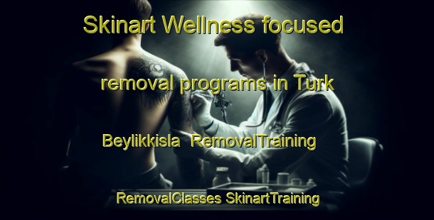 Skinart Wellness-focused removal programs in Turk Beylikkisla | #RemovalTraining #RemovalClasses #SkinartTraining-Turkey