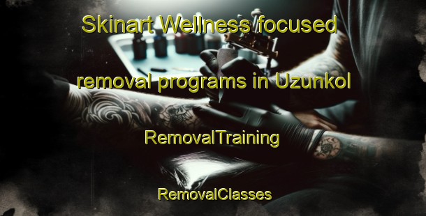 Skinart Wellness-focused removal programs in Uzunkol | RemovalTraining | RemovalClasses | SkinartTraining-Turkey
