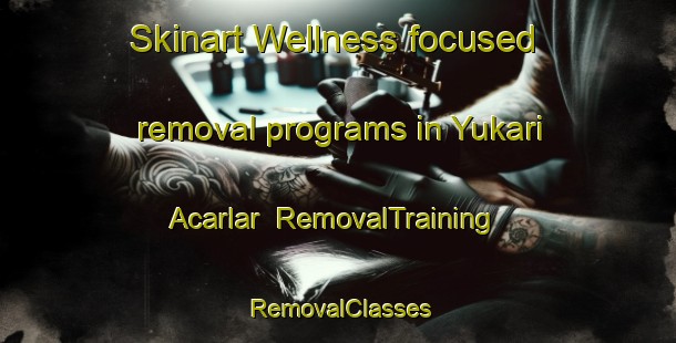 Skinart Wellness-focused removal programs in Yukari Acarlar | RemovalTraining | RemovalClasses | SkinartTraining-Turkey