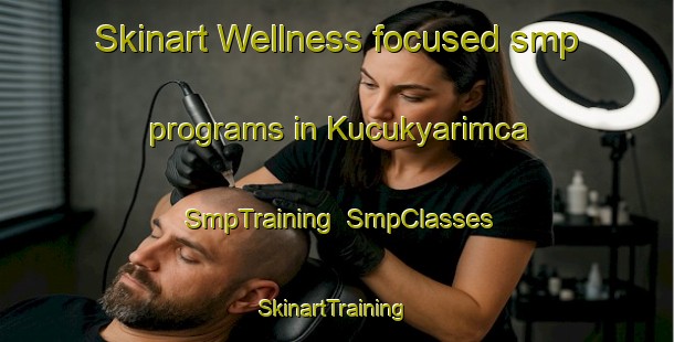 Skinart Wellness-focused smp programs in Kucukyarimca | SmpTraining | SmpClasses | SkinartTraining-Turkey