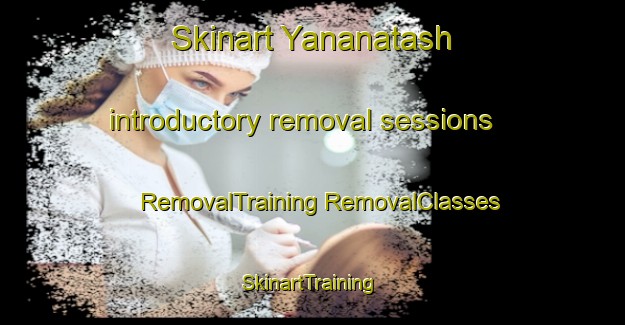 Skinart Yananatash introductory removal sessions | #RemovalTraining #RemovalClasses #SkinartTraining-Turkey