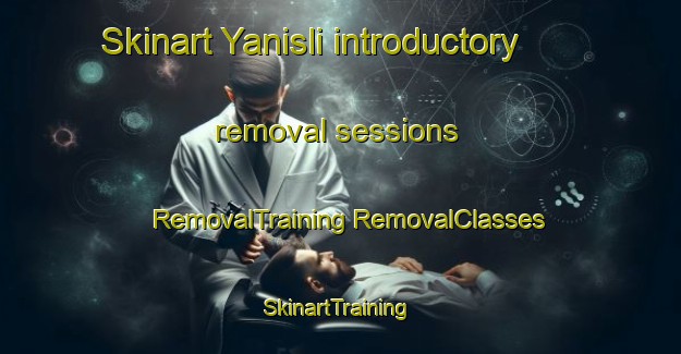 Skinart Yanisli introductory removal sessions | #RemovalTraining #RemovalClasses #SkinartTraining-Turkey