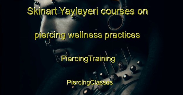 Skinart Yaylayeri courses on piercing wellness practices | PiercingTraining | PiercingClasses | SkinartTraining-Turkey