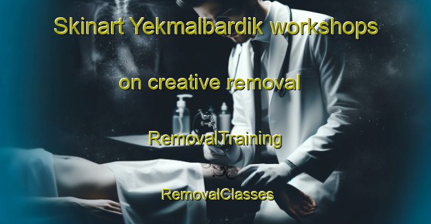 Skinart Yekmalbardik workshops on creative removal | RemovalTraining | RemovalClasses | SkinartTraining-Turkey