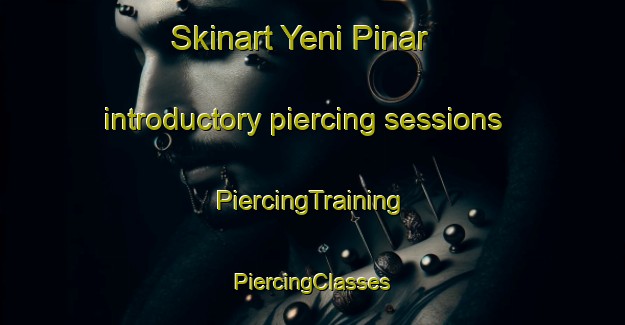 Skinart Yeni Pinar introductory piercing sessions | #PiercingTraining #PiercingClasses #SkinartTraining-Turkey